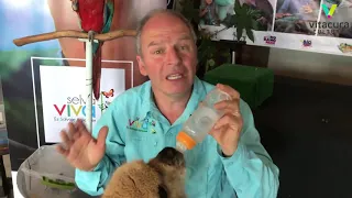 Alfredo Ugarte y Selva Viva – Chaleco, la alpaca guagüita