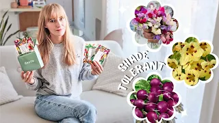 My 2024 Flower And Vegetable Seeds Haul For A Shady Container Garden