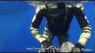 A beautiful comb grouper πιγγα| Spearfishing Pescasub Cyprus by Pavlides