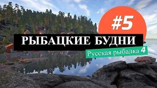 🎣 Рыбацкие будни #5: Трофейная Палия на о.Ладожское / Русская рыбалка 4 / Russian fishing 4 ! #рр4