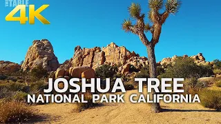 JOSHUA TREE NATIONAL PARK - USA, California, Travel, 4K UHD