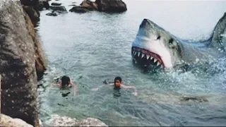 5 Shark Attacks You Won’t Believe । 5 सबसे खतरनाक शार्क के हमले ।