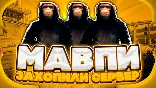 МАВПИ ЗАХОПИЛИ СЕРВЕР В GTA 5 RP 🐵 NEXUS RP