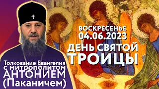 Толкование Евангелия с митрополитом Антонием (Паканичем). Пятидесятница, 12 июня 2022 года.