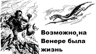 Возможно, на Венере была жизнь