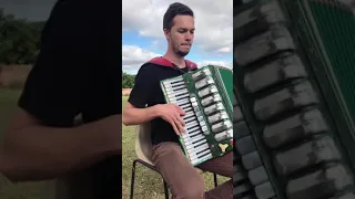 TONES AND I - Dance Monkey ( ACCORDION cover )