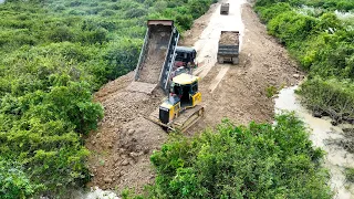 Astonishing Work by SHANTUI Bulldozer & Truck Wheel 10 Spreading Stone Building Road on Forestry