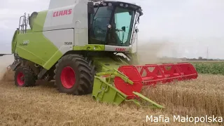 ☆Żniwa 2019  Claas Tucano 320  ☆New Holland T7.200㋡ Mafia Małopolska