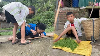 Poor boy - Harvesting wild vegetables to sell and helping old and weak women