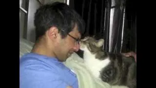 Real Men Love Cats Music Video ("I Wanna Be Yours" by Foxy Shazam)