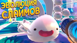 ЭВОЛЮЦИЯ СЛАЙМОВ ( Slime Rancher 2 )