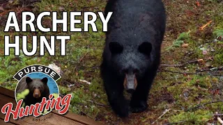Saskatchewan Black Bear Archery Hunt - Day 6 - Pursue Hunting