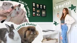 I Painted the Pet Room?! | Pet Updates