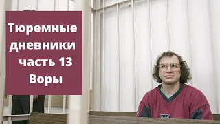 Сергей Мавроди Тюремные дневники часть 13, Воры