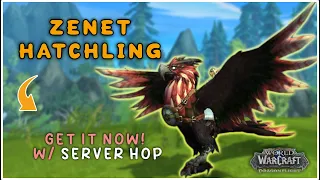 Zenet Hatchling MOUNT Guide - ZERO Camping! 10.0 Dragonflight WoW