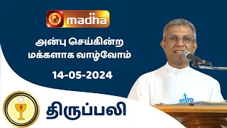 🔴14 May  2024 Holy Mass in Tamil 06:00 PM (Evening Mass) | Madha TV