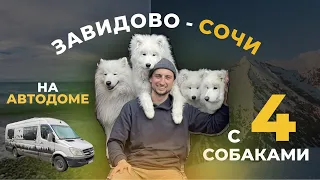 НА АВТОДОМЕ в аренду / из ЗАВИДОВО в СОЧИ / с 4 СОБАКАМИ