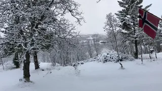 SNOW WHITE IN TROMSØ, NORWAY | FIRST SNOWFALL | AN EARLY CHRISTMAS SEASON IN 2020
