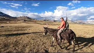 Mule Packing in the Wind River Range
