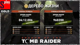 Shadow of the Tomb Raider (GOLD) - Гробница Дерево жизни [4:12.006 | 960200]