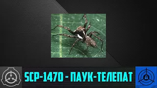 SCP-1470 - Паук-телепат       【СТАРАЯ ОЗВУЧКА】