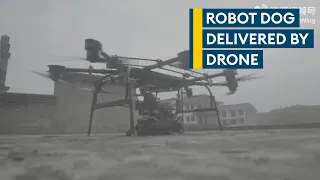 China's machine gun-mounted robot dogs - delivered by drone