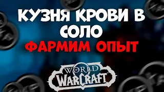 Кузня крови в соло! Фарм Exp за 7ч! Быстрая прокачка! World of Warcraft WotLK Classic