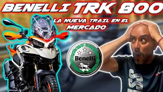 NUEVO Animal de MOTO Benelli TRK 800X