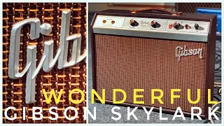 Gibson Amps Deserves MUCH MORE ATTENTION! 1964 Gibson Skylark