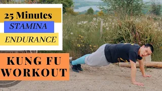 25 Min Intense Full Body Kung Fu Workout - Take your Fitness STAMINA & ENDURANCE to the NEXT LEVEL 👍