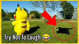 Try Not To Laught 😂 Best Funny Videos Compilation 2022  Funny Moments #34