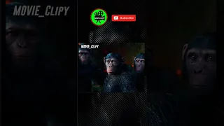 Fight for the Apes 🦍 : 🛑 Subscribe for more Videos