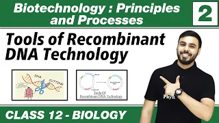 Biotechnology : Principles & Processes 02 : Tools of Recombinant DNA Techonolgy | Class 12th NCERT