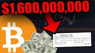 THIS CRAZY BITCOIN WHALE JUST MADE A $1,600,000,000 MOVE!