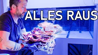 Quer durch Deutschland um ein Aquarium zu Retten | ALLES MUSS RAUS!