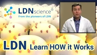 LDNscience® Presents - How LDN (Low Dose Naltrexone) Works