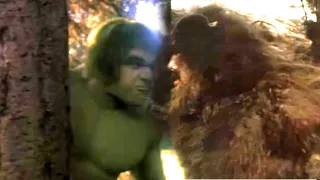 The Hulk vs Bigfoot