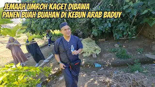 REAKSI JEMAAH UMROH PANEN BUAH BUAHAN DI KEBUN ARAB BADUY