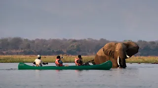 The natural wonder of Mana Pools - African Bush Camps