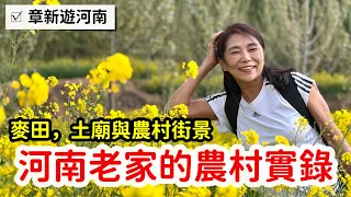 河南老家的農村現況_鏡頭從都市轉到鄉村，感受踏實且純樸的滿足_章新一支鐵鍋回老家，感受那塊我爸小時候奔跑玩耍的黃土地，看看茅廁，麥田與鄉下玉皇大帝小廟