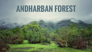 Andharban Forest Trek | Ramesh Ojha