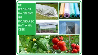 Що треба знати про тепличні плівку та полікарбонат, щоб довго прослужили та в копійку не влетіти.