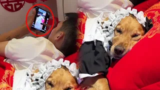 Funny Dog | Dog: I paid by mistake after all #cuihuastory #cute pet #animal