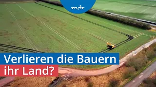 Hohe Preise für Ackerland – Warum die Bodenpreise weiter steigen | Umschau | MDR