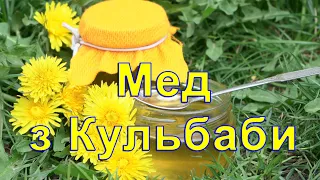 Дуже смачний Мед,Мед з Кульбаби,як зробити мед з кульбаби,Мед из одуванчиков,рецепт меду,з квітів