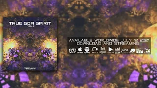 True Goa Spirit, Vol.  6 Dj Mix