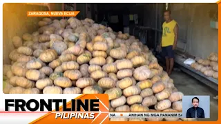 Libu-libong kilo ng kalabasa na 'di nabibili, pinangangambahang masira lang | Frontline Pilipinas