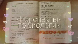 Все мои конспекты по биологии • Как я оформляю тетради