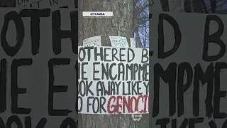 Pro-Palestine demonstrators set up at University of Ottawa