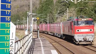 EF510 - 19 牽引 貨物列車 湯尾駅・南今庄駅を通過